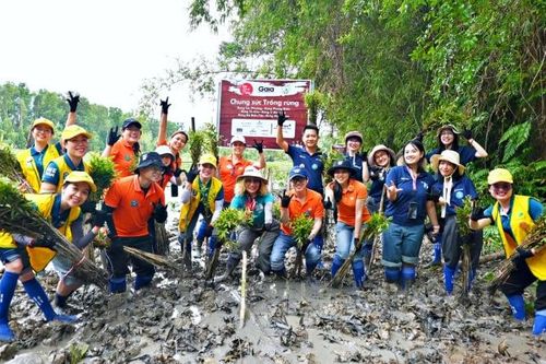Xây 'tuyến phòng thủ xanh' ứng phó thiên tai cực đoan