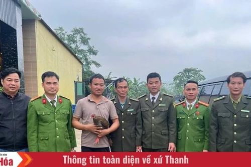 Cá thể gà lôi trắng mà người dân giao nộp, không phải bị săn bắt hay bẫy