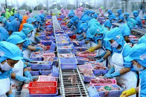 Xuất khẩu thủy sản Việt Nam dự báo lần đầu tiên vượt 11 tỷ USD