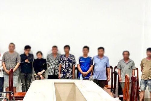 Bắt giữ 14 đối tượng ở Phú Tân đá gà qua mạng ăn tiền