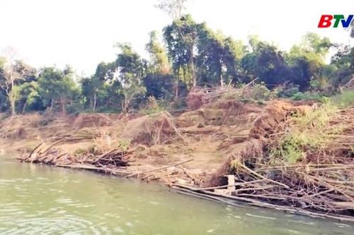 Sạt lở nghiêm trọng bờ sông Cầu qua xã Hoàng Vân, đe dọa an toàn khu dân cư