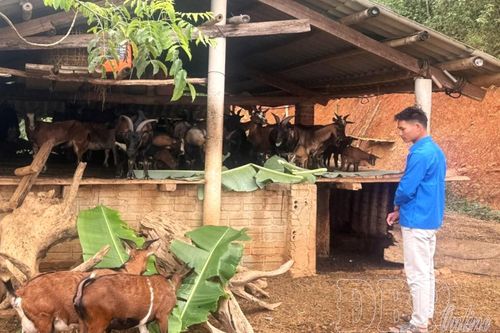 Thanh An phát huy hiệu quả nguồn vốn tín dụng chính sách