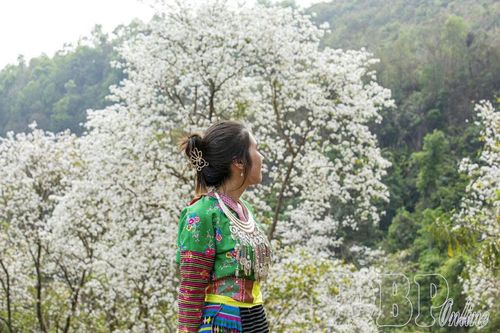 Giữ rừng từ cơ sở
