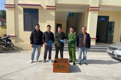 Xã Thanh Yên bàn giao 1 cá thể tê tê cho Vườn quốc gia Cúc Phương
