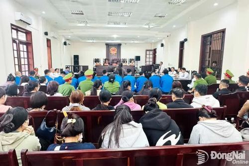 Chủ mưu vụ lừa đảo hơn 255 tỷ đồng bị tuyên án 18 năm tù