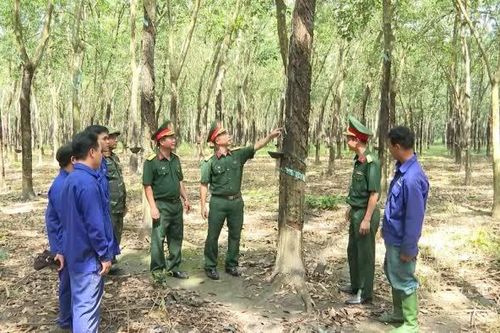 Mệnh lệnh từ trái tim của Bộ đội Cụ Hồ trên mặt trận kinh tế - quốc phòng