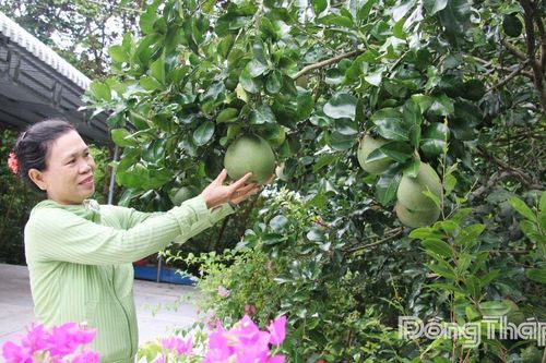 Tập trung đưa người lao động đi làm việc có thời hạn ở nước ngoài