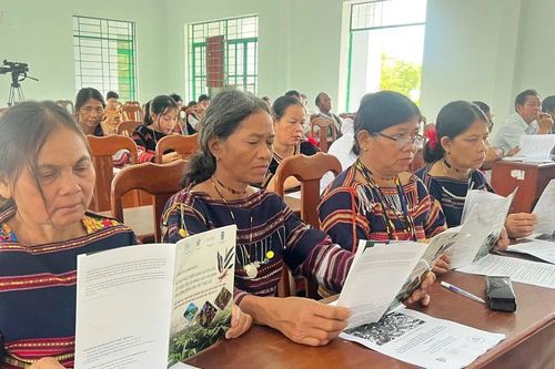 Khởi động Dự án phát triển cây dược liệu sa nhân tím gắn với bảo vệ rừng và sinh kế cộng đồng