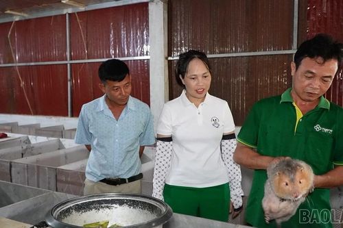 Gia Phú: Nông dân thu nhập cao từ nuôi dúi má đào