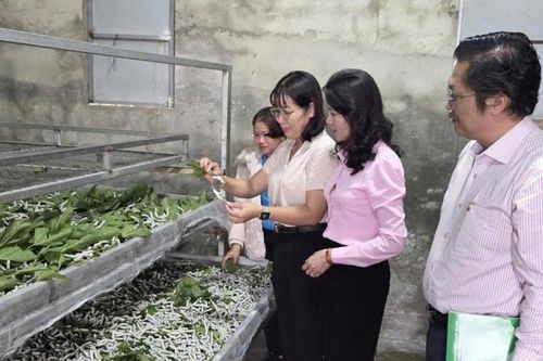 Ninh Gia khơi dậy nội lực, thực hiện mục tiêu giảm nghèo bền vững
