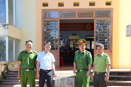 Người dân Lâm Đồng giao nộp cá thể tê tê quý hiếm