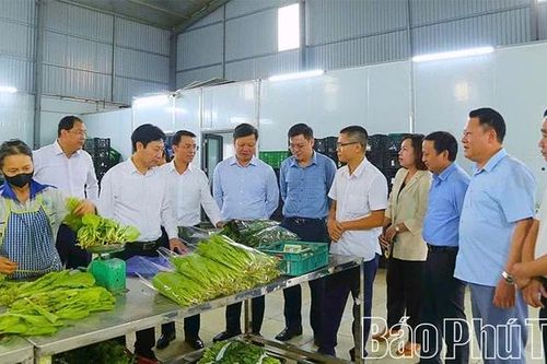 Điểm tựa vững chắc cho nông nghiệp và nông thôn mới