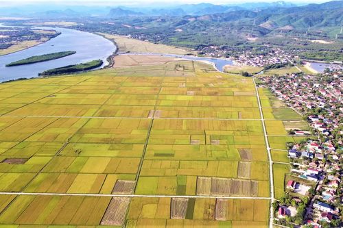 Dồn điền đổi thửa: Xu hướng tất yếu của nền nông nghiệp hiện đại - Bài 2: Tìm lời giải cho bài toán dồn điền đổi thửa