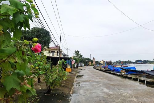 Làng quê xanh, sạch, đẹp