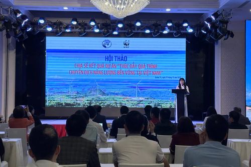 Từng bước hình thành hệ sinh thái chuyển dịch năng lượng bền vững tại Quảng Trị