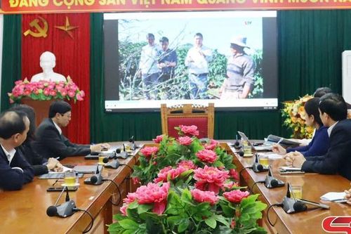 Thẩm định phóng sự phục vụ Đại hội đại biểu Hội Nông dân tỉnh Sơn La lần thứ XI