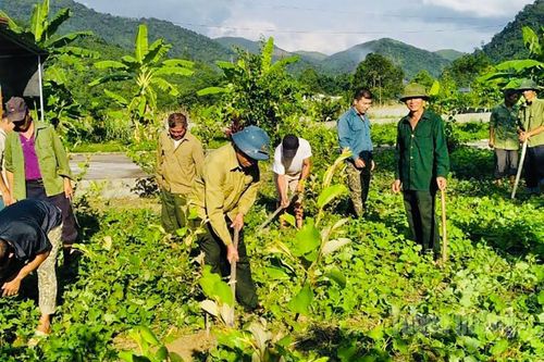 Phát huy phẩm chất 'Bộ đội Cụ Hồ'