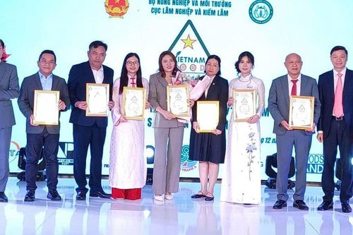 Góp phần nhận diện, khẳng định uy tín ngành gỗ Việt Nam
