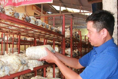 Ninh Bình: Đẩy mạnh kinh tế tập thể trong xây dựng nông thôn mới nâng cao