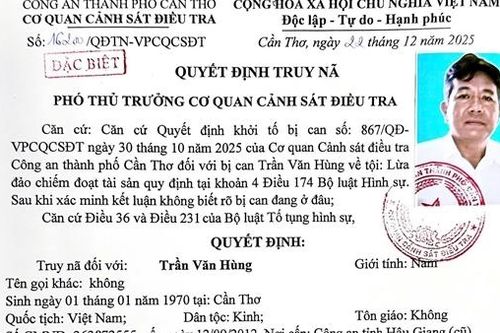 Nhận thuê đi tách thửa đất rồi bán để chiếm đoạt tiền