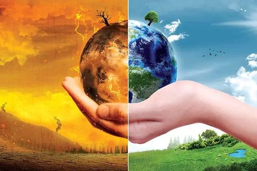 Quốc tế đồng hành cùng Việt Nam chống biến đổi khí hậu