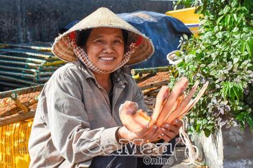 Bám biển mùa gió chướng