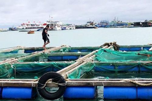 Cảnh báo bão sớm: Giải pháp bảo vệ sinh kế, góp phần giảm nghèo bền vững vùng biển đảo