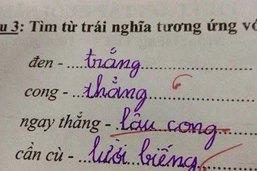 Bài tập tiếng Việt tìm từ trái nghĩa với 'ngay thẳng', bé học sinh viết ra một đáp án khiến giáo viên hoang mang