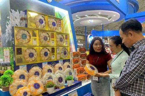 Từ ruộng vườn đến siêu thị ngoại: Hợp tác xã đổi thay nông thôn Đắk Lắk