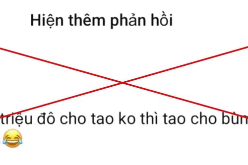 Công an làm việc chủ tài khoản bình luận 'dọa khủng bố' sân bay Long Thành
