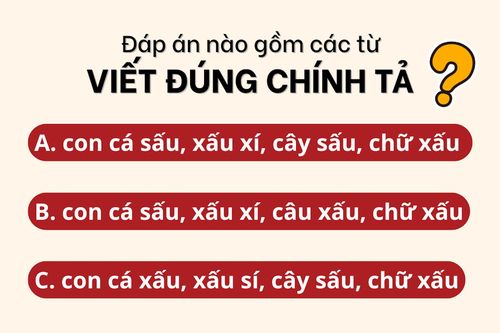 Nhìn kỹ từng chữ vì câu đố này đang lừa bạn