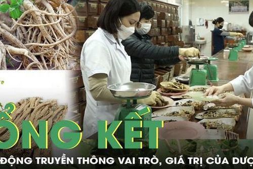 Hoạt động truyền thông vai trò, giá trị của dược liệu giai đoạn từ năm 2021 đến năm 2025