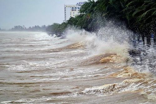 Các tỉnh từ Quảng Ninh đến An Giang triển khai ứng phó với gió mạnh trên biển