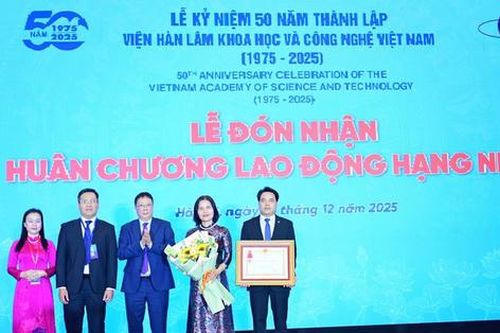 Kiến tạo nền móng tri thức Việt
