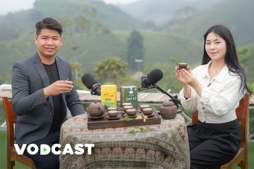 Những người 'điểm hoa trên đá', mở lối du lịch bền vững ở Phú Thọ