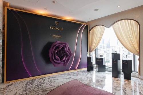 Synactif - thời khắc của những đóa hồng