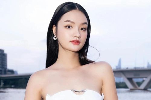 Người đẹp Việt bị công kích