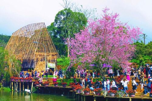 Quảng Ngãi đạt 3.700 tỉ đồng doanh thu từ du lịch