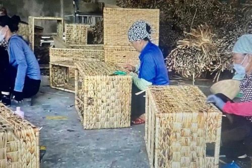 Sẽ mở rộng diện hỗ trợ pháp lý tới các hộ kinh doanh