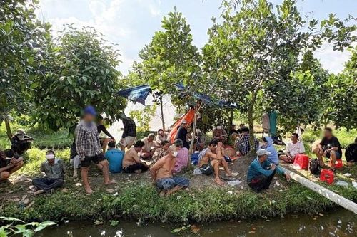 Cần Thơ tạm giữ hình sự 14 đối tượng lắc tài xỉu ăn tiền