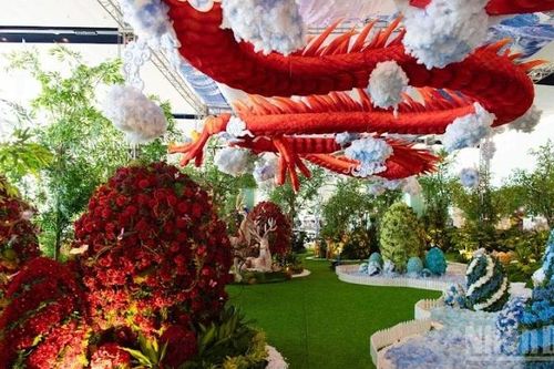 Hành khách bất ngờ thú vị khi nhận quà Giáng sinh 'lạ' tại Nội Bài