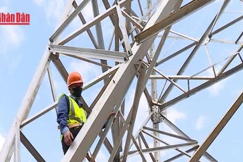 Nỗ lực thi công dự án đường dây 220kV Than Uyên – Lào Cai