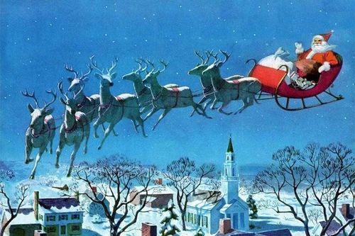 Giật mình sự thật về 9 con tuần lộc kéo cỗ xe chở ông già Noel