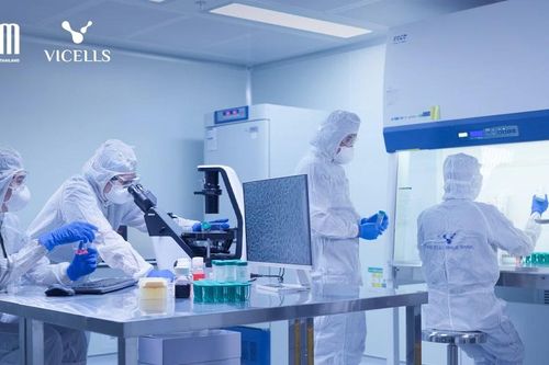 Ngân hàng Mô - Tế bào gốc VICELLS thiết lập quy trình 'cá nhân hóa'