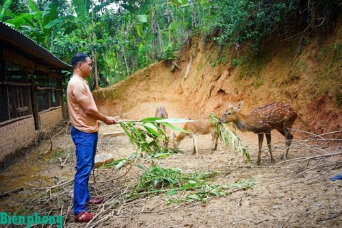 Những nông dân giỏi trên vùng núi cao