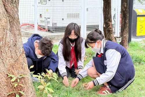 Dạy học sinh không chỉ biết giỏi Toán, giỏi Văn