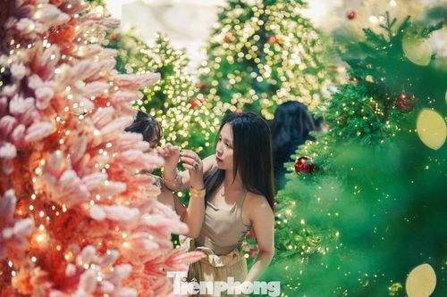 Lạc bước giữa vườn thông phủ tuyết mùa Giáng sinh