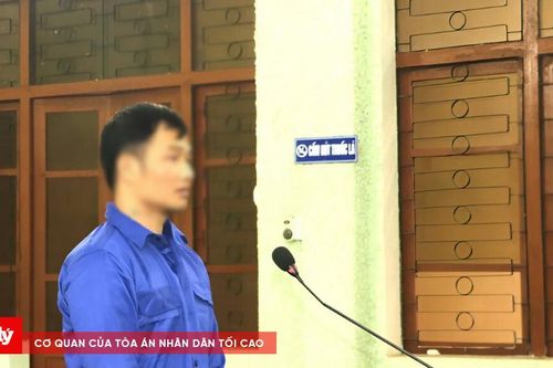 Mua bán 3 cây ma túy, bị cáo lĩnh 20 năm tù