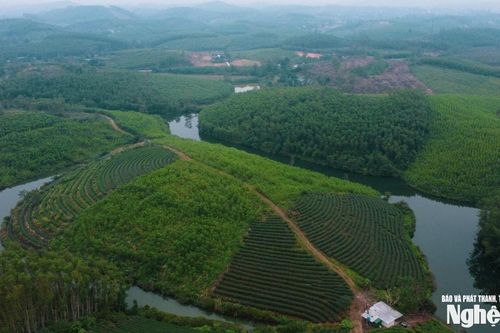 Lãnh đạo xã Hoa Quân nói gì về Dự án du lịch nghìn tỷ Đảo chè Cầu Cau mãi vẫn nằm trên giấy?