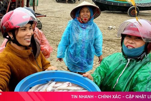 Cách nhận biết cá cháo 'ủ' chất cấm
